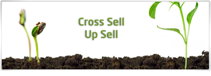 Cross-Sell-Up-Sell