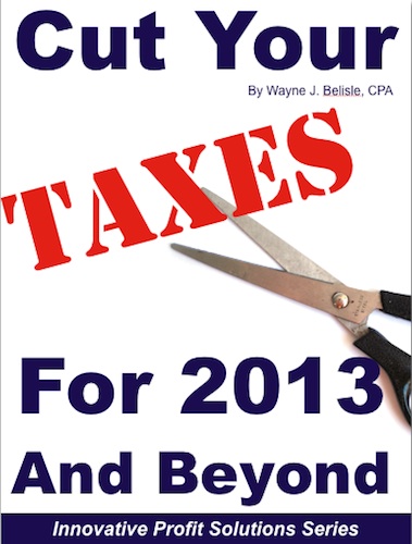 Cut taxes 2013 cover
