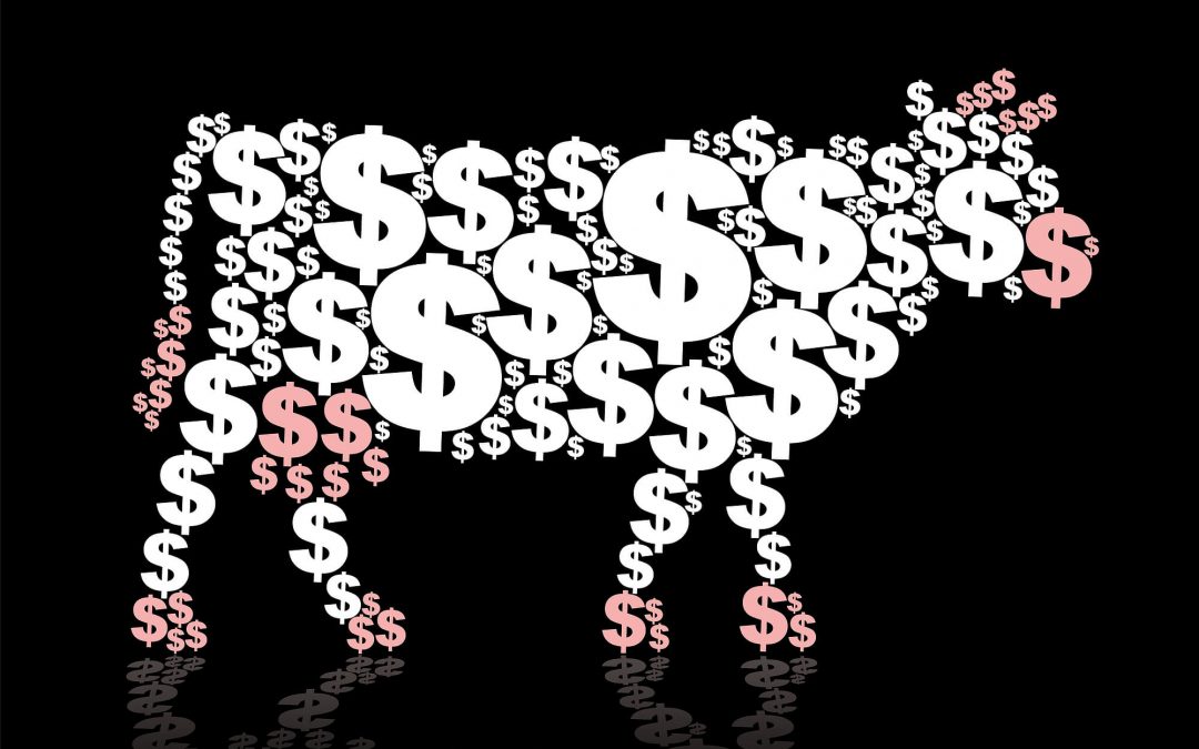 4 Things to Know About Focusing on Cash Cows to Boost Your Profits