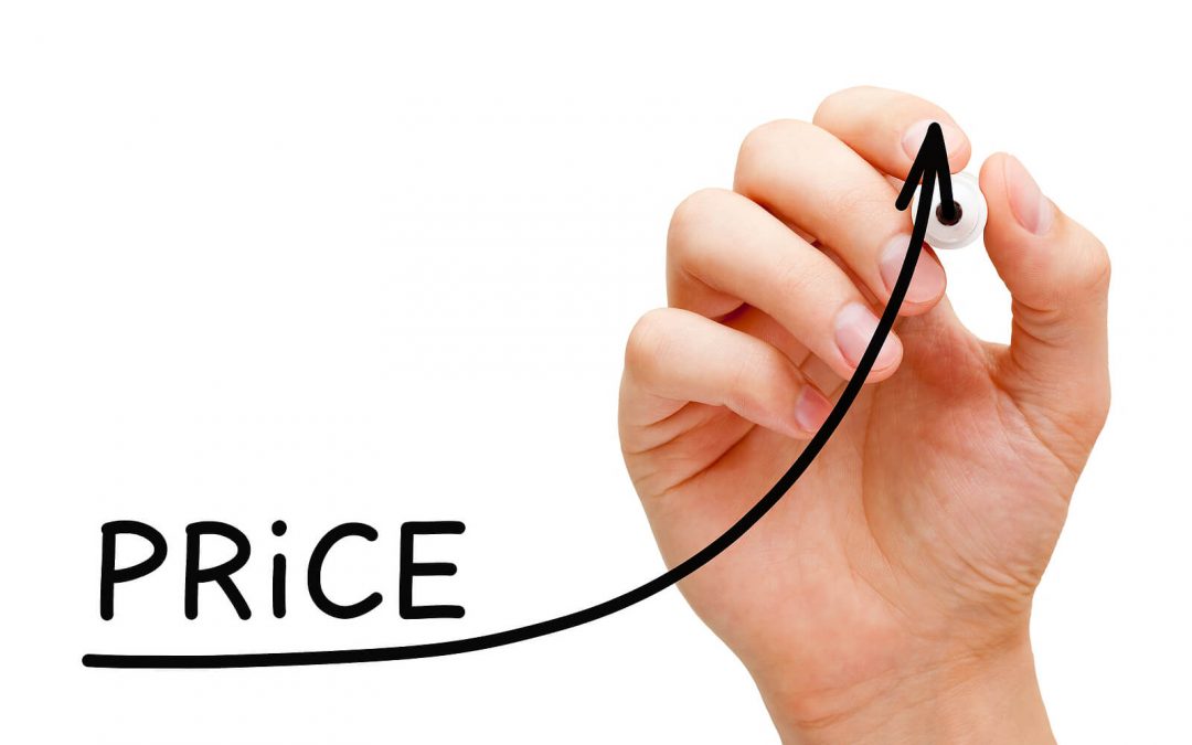 A Step-by-Step Guide on How to Raise Your Prices in Your Small Business