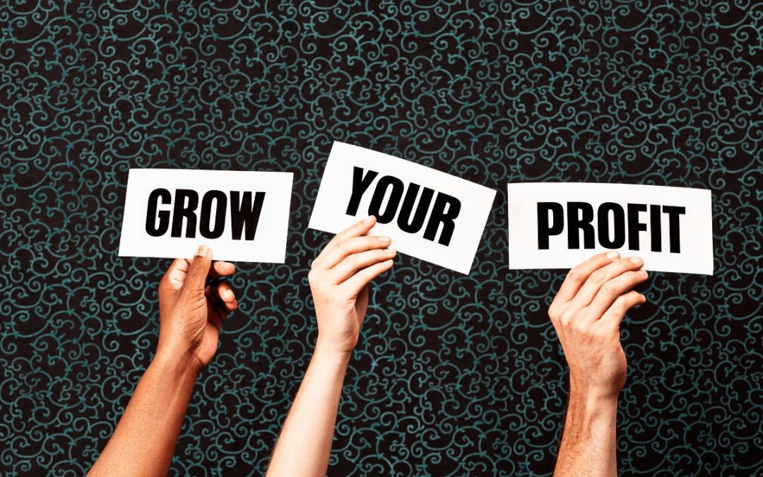The 5-Step Plan to Grow Your Profits Tenfold