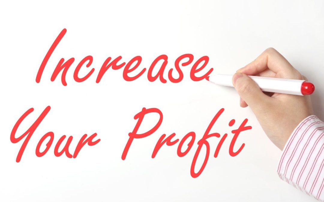 How to Work Less and Increase Your Profits with THIS 4-Step Audit
